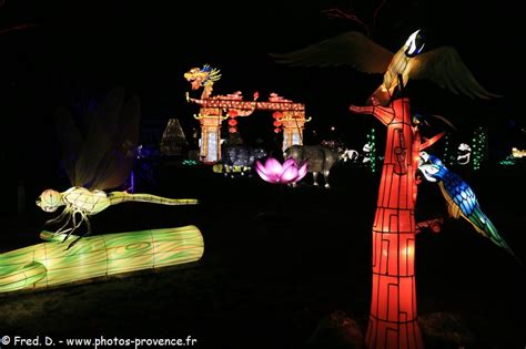 longchamps lumière de chine